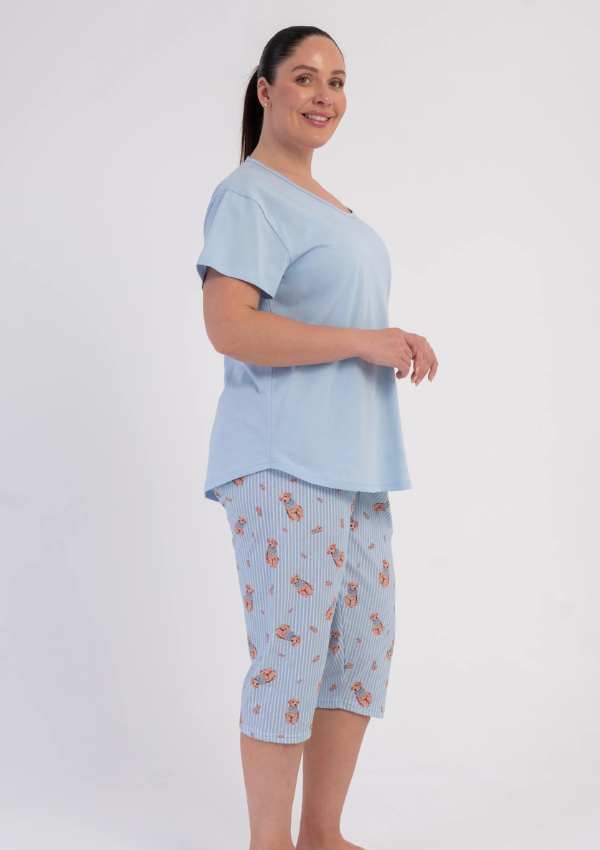 Piżama Damska Vienetta Puppy Stripes, Niebieski, r. 1XL-4XL