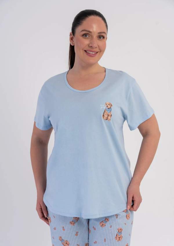 Piżama Damska Vienetta Puppy Stripes, Niebieski, r. 1XL-4XL