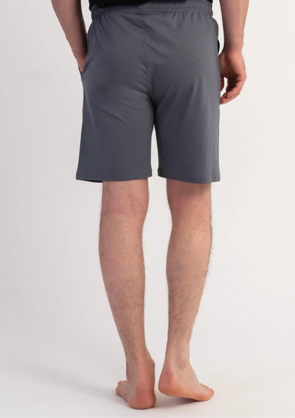Spodnie Męskie Graphite Shorts, Szary, r. 1XL-4XL